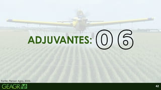 ADJUVANTES:
Fonte: Pensar Agro, 2025.
42
 