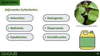 Detergente;
Adjuvantes Surfactantes:
Aderentes;
Emulsificantes.
Espalhantes;
ADJUVANTES
Fonte: Saathoff Seeds, 2023.
Molhante; Dispersante;
Detergente;
43
 