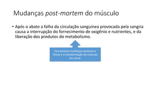 Mudanças post-mortem do músculo
• Após o abate a falha da circulação sanguínea provocada pela sangria
causa a interrupção do fornecimento de oxigênio e nutrientes, e da
liberação dos produtos do metabolismo.
Isso provoca mudanças químicas e
físicas e a transformação do músculo
em carne.
 
