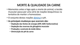 MORTE & QUALIDADE DA CARNE
• Momentos antes e logo após a morte do animal, o tecido
muscular passa por uma série de reações bioquímicas na
tentativa de manter a homeostase.
• O conjunto destas reações diminui o pH.
• As principais mudanças que ocorrem são:
• Depleção das fontes de energia (ATP, ADP, fosfocreatina)
• Depleção das reservas de glicogênio muscular
• Produção e acúmulo de ácido lático
• Diminuição do pH da carne
 