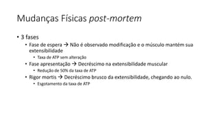 Mudanças Físicas post-mortem
• 3 fases
• Fase de espera  Não é observado modificação e o músculo mantém sua
extensibilidade
• Taxa de ATP sem alteração
• Fase apresentação  Decréscimo na extensibilidade muscular
• Redução de 50% da taxa de ATP
• Rigor mortis  Decréscimo brusco da extensibilidade, chegando ao nulo.
• Esgotamento da taxa de ATP
 