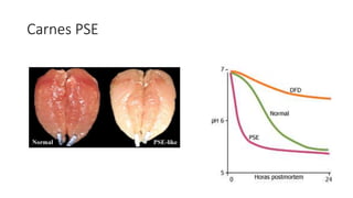 Carnes PSE
 