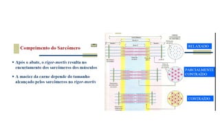 Tecnologia de carnes 