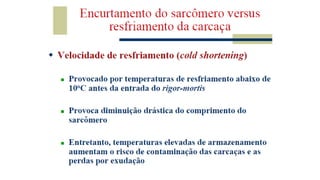 Tecnologia de carnes 