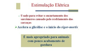 Tecnologia de carnes 