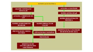 Tecnologia de carnes 