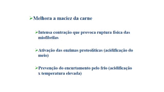 Tecnologia de carnes 