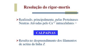 Tecnologia de carnes 