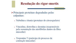Tecnologia de carnes 
