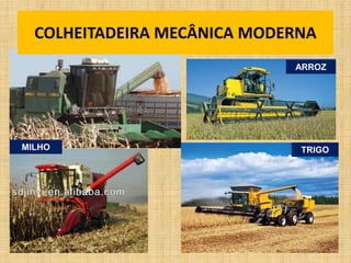 COLHEITADEIRA MECÂNICA MODERNA
TRIGO
ARROZ
MILHO
 