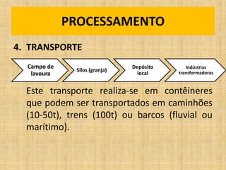 Campo de
lavoura
Silos (granja)
Depósito
local
Indústrias
transformadoras
4. TRANSPORTE
Este transporte realiza-se em contêineres
que podem ser transportados em caminhões
(10-50t), trens (100t) ou barcos (fluvial ou
marítimo).
PROCESSAMENTO
 