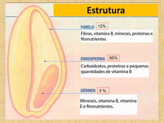 85%
12%
3 %
Estrutura
 