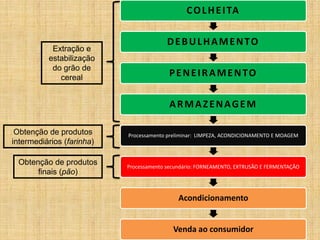 COLHEITA
DEBULHAMENTO
PENEIRAMENTO
ARMAZENAGEM
Processamento preliminar: LIMPEZA, ACONDICIONAMENTO E MOAGEM
Processamento secundário: FORNEAMENTO, EXTRUSÃO E FERMENTAÇÃO
Acondicionamento
Venda ao consumidor
Extração e
estabilização
do grão de
cereal
Obtenção de produtos
intermediários (farinha)
Obtenção de produtos
finais (pão)
 