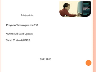 Trabajo práctico
Alumna: Ana María Cardozo
Curso 3º año del P.E.P
Proyecto Tecnológico con TIC
Ciclo 2018
 