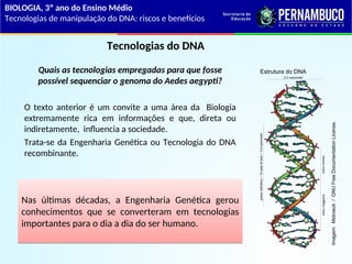 Dna Risc Tecnologia de manipulação do DNA riscos e benefícios.ppt