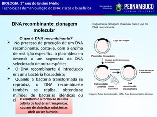 Dna Risc Tecnologia de manipulação do DNA riscos e benefícios.ppt