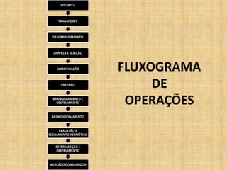 FLUXOGRAMA
DE
OPERAÇÕES
COLHEITA
TRANSPORTE
DESCARREGAMENTO
LIMPEZA E SELEÇÃO
CLASSIFICAÇÃO
PREPARO
BRANQUEAMENTO E
RESFRIAMENTO
ACONDICIONAMENTO
EXAUSTÃO E
FECHAMENTO HERMÉTICO
ESTERILIZAÇÃO E
RESFRIAMENTO
MERCADO CONSUMIDOR
 