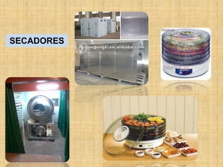 SECADORES
 