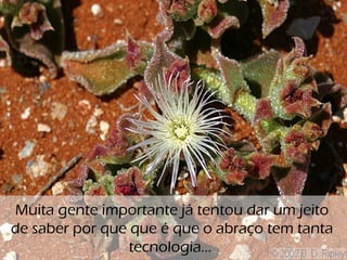 o
Muita gente importante já tentou dar um jeito
de saber por que que é que o abraço tem tanta
tecnologia...
 