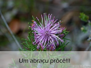 Um abraçu prôcê!!!
 