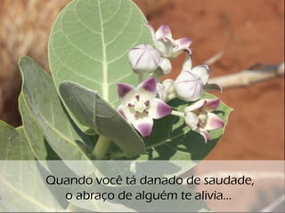o
Quando você tá danado de saudade,
o abraço de alguém te alivia...
 