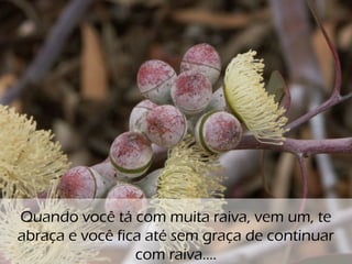 o
Quando você tá com muita raiva, vem um, te
abraça e você fica até sem graça de continuar
com raiva....
 