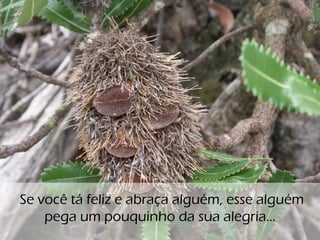 o
Se você tá feliz e abraça alguém, esse alguém
pega um pouquinho da sua alegria...
 