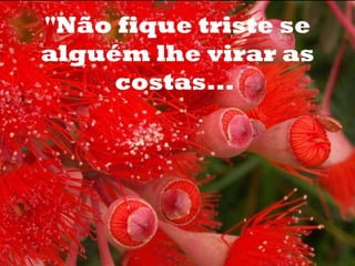 o "Não fique triste se alguém lhe virar as costas...  