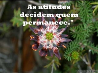 As atitudes decidem quem permanece."  