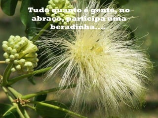 o Tudo quanto é gente, no abraço, participa uma beradinha....  