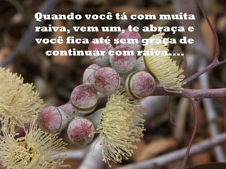 o Quando você tá com muita raiva, vem um, te abraça e você fica até sem graça de continuar com raiva.... 