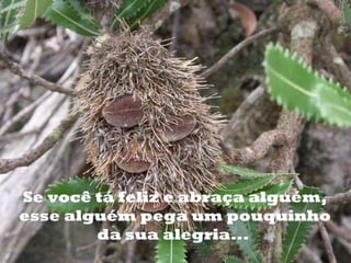 o Se você tá feliz e abraça alguém, esse alguém pega um pouquinho da sua alegria...  