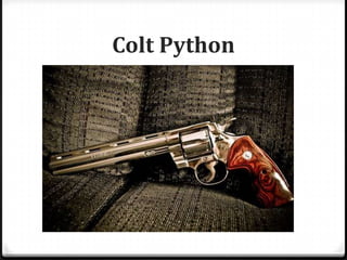 Colt Python

 