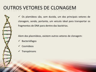 OUTROS VETORES DE CLONAGEM
 Os plamídeos são, sem duvida, um dos principais vetores de
clonagem, sendo, portanto, um veiculo ideal para transportar os
fragmentos de DNA para dentro das bactérias.
Alem dos plasmídeos, existem outros vetores de clonagem:
 Bacteriófagos
 Cosmídeos
 Transpórsons
 