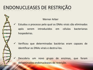 ENDONUCLEASES DE RESTRIÇÃO
Werner Arber
 Estudou o processo pelo qual os DNAs virais são eliminados
após serem introduzidos em células bacterianas
hospedeiras.
 Verificou que determinadas bactérias eram capazes de
identificar os DNAs virais e destruí-los.
 Descobriu um novo grupo de enzimas, que foram
denominados endonucleases de restrição.
 