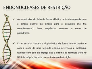 ENDONUCLEASES DE RESTRIÇÃO
 As sequências são lidas de forma idêntica tanto da esquerda para
a direita quanto da direita para a esquerda (na fita
complementar). Essas sequências recebem o nome de
palíndromo.
 Essas enzimas cortam a dupla-hélice de forma muito precisa e
com a ajuda de uma segunda enzima determina a metilação,
fazendo com que ela impeça que a enzima de restrição atue no
DNA da própria bactéria prevenindo sua destruição.
 