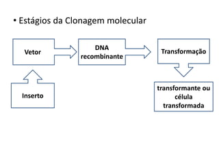 Tecnologia do DNA recombinante | PPTX