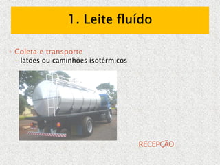 ◦ Coleta e transporte
- latões ou caminhões isotérmicos
RECEPÇÃO
 