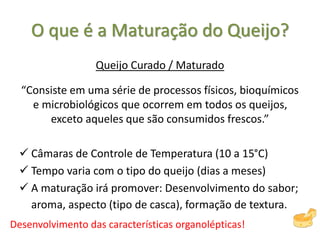 O que é a Maturação do Queijo?
Queijo Curado / Maturado
“Consiste em uma série de processos físicos, bioquímicos
e microbiológicos que ocorrem em todos os queijos,
exceto aqueles que são consumidos frescos.”
 Câmaras de Controle de Temperatura (10 a 15°C)
 Tempo varia com o tipo do queijo (dias a meses)
 A maturação irá promover: Desenvolvimento do sabor;
aroma, aspecto (tipo de casca), formação de textura.
Desenvolvimento das características organolépticas!
 