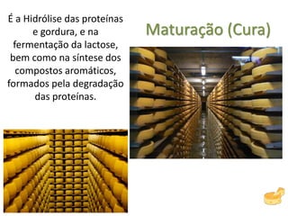Maturação (Cura)
É a Hidrólise das proteínas
e gordura, e na
fermentação da lactose,
bem como na síntese dos
compostos aromáticos,
formados pela degradação
das proteínas.
 