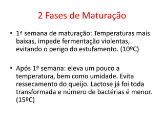 2 Fases de Maturação
• 1ª semana de maturação: Temperaturas mais
baixas, impede fermentação violentas,
evitando o perigo do estufamento. (10ºC)
• Após 1ª semana: eleva um pouco a
temperatura, bem como umidade. Evita
ressecamento do queijo. Lactose já foi toda
transformada e número de bactérias é menor.
(15ºC)
 