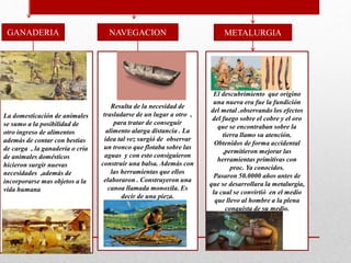 GANADERIA
La domesticación de animales
se sumo a la posibilidad de
otro ingreso de alimentos
además de contar con bestias
de carga , la ganadería o cría
de animales domésticos
hicieron surgir nuevas
necesidades ,además de
incorporarse mas objetos a la
vida humana
NAVEGACION
Resulta de la necesidad de
trasladarse de un lugar a otro ,
para tratar de conseguir
alimento alarga distancia . La
idea tal vez surgió de observar
un tronco que flotaba sobre las
aguas y con esto consiguieron
construir una balsa. Además con
las herramientas que ellos
elaboraron . Construyeron una
canoa llamada monoxila. Es
decir de una pieza.
METALURGIA
El descubrimiento que origino
una nueva era fue la fundición
del metal .observando los efectos
del fuego sobre el cobre y el oro
que se encontraban sobre la
tierra llamo su atención.
Obtenidos de forma accidental
,permitieron mejorar las
herramientas primitivas con
proc. Ya conocidos.
Pasaron 50.0000 años antes de
que se desarrollara la metalurgia,
la cual se convirtió en el medio
que llevo al hombre a la plena
conquista de su medio.
 