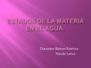 Docentes Bairon Estévez
Nicole Leiva
 