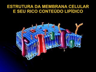 ESTRUTURA DA MEMBRANA CELULAR E SEU RICO CONTEÚDO LIPÍDICO 