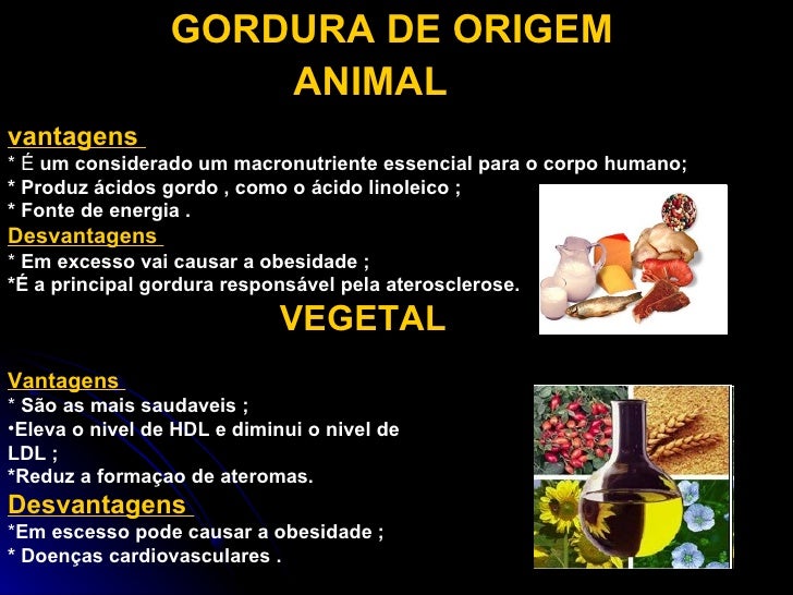 Dois Tipos De Lipídios Contidos No Organismo Humano