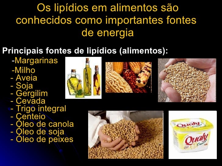 Dois Tipos De Lipídios Contidos No Organismo Humano