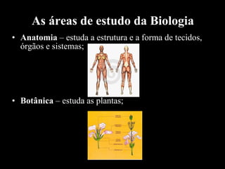 As áreas de estudo da Biologia Anatomia  – estuda a estrutura e a forma de tecidos, órgãos e sistemas; Botânica  – estuda as plantas; 