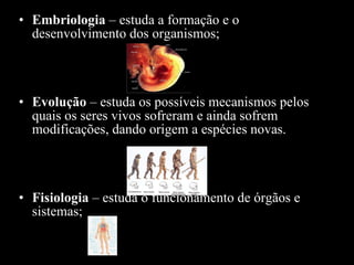 Embriologia  – estuda a formação e o desenvolvimento dos organismos; Evolução  – estuda os possíveis mecanismos pelos quais os seres vivos sofreram e ainda sofrem modificações, dando origem a espécies novas. Fisiologia  – estuda o funcionamento de órgãos e sistemas; 