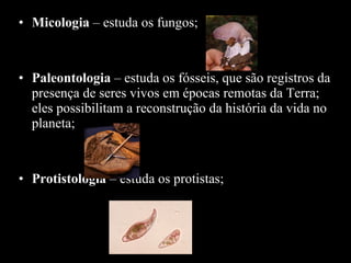 Micologia  – estuda os fungos; Paleontologia  – estuda os fósseis, que são registros da presença de seres vivos em épocas remotas da Terra; eles possibilitam a reconstrução da história da vida no planeta;  Protistologia  – estuda os protistas; 
