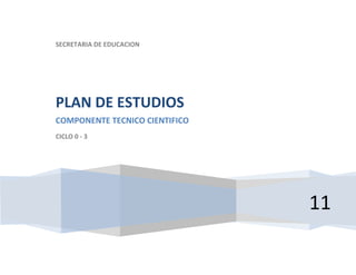 SECRETARIA DE EDUCACION




PLAN DE ESTUDIOS
COMPONENTE TECNICO CIENTIFICO
CICLO 0 - 3




                                11
 